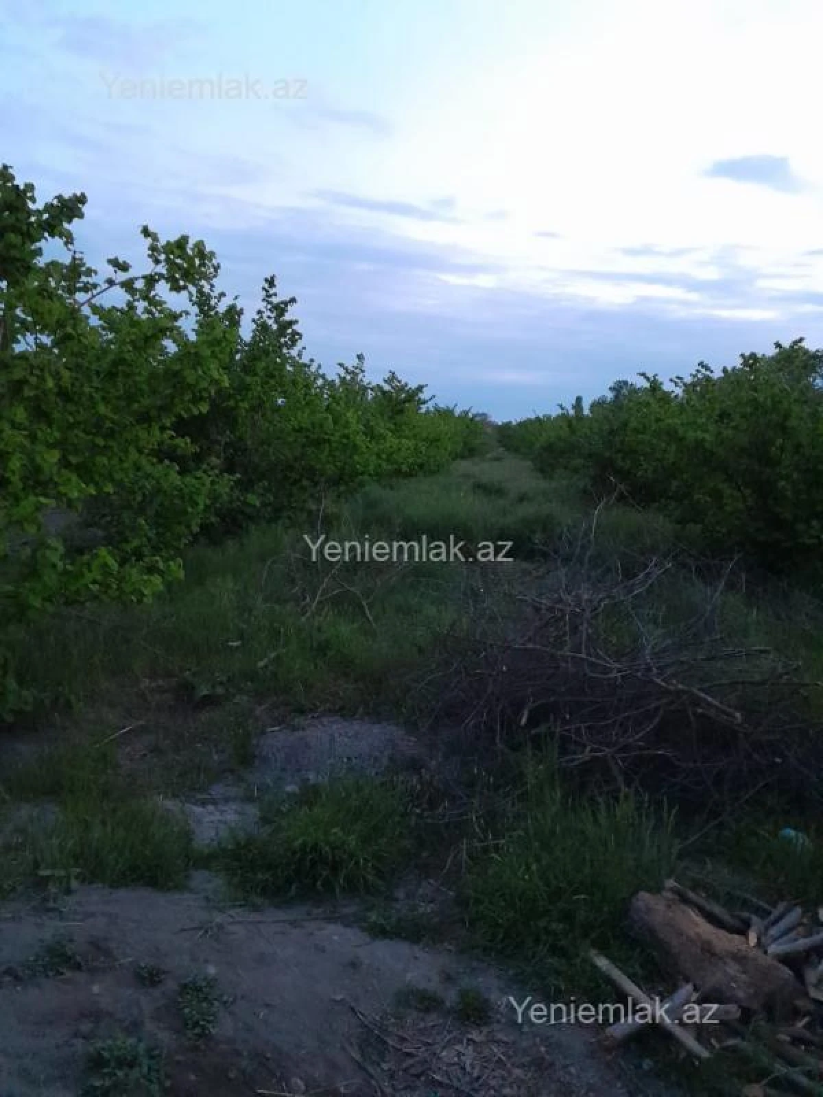 Satılır torpaq sahəsi