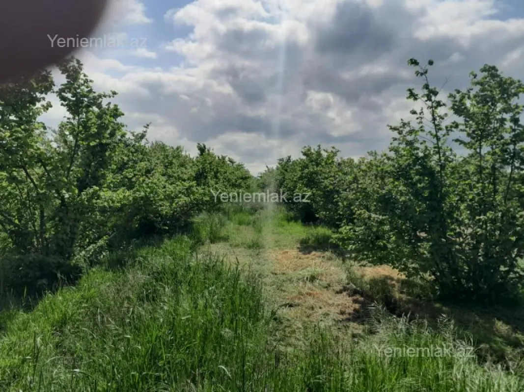 Satılır torpaq sahəsi