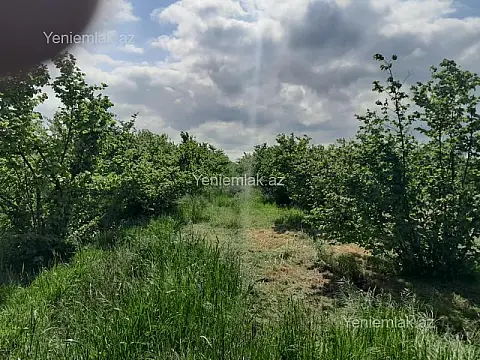 Satılır torpaq sahəsi