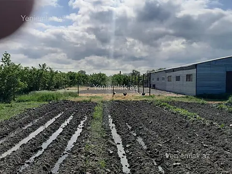 Satılır torpaq sahəsi