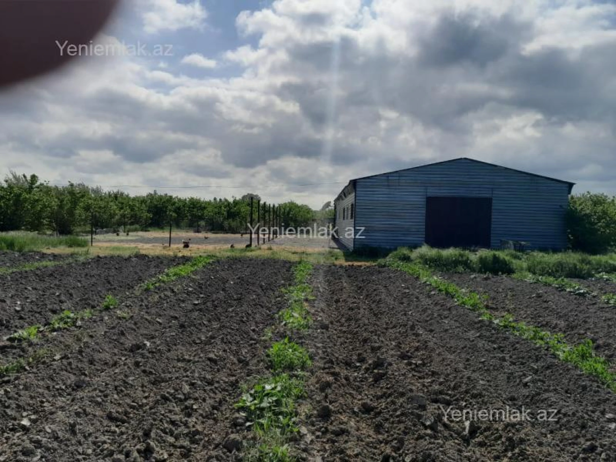 Satılır torpaq sahəsi