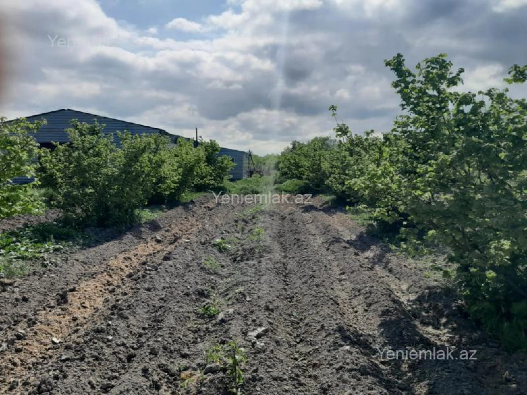 Satılır torpaq sahəsi