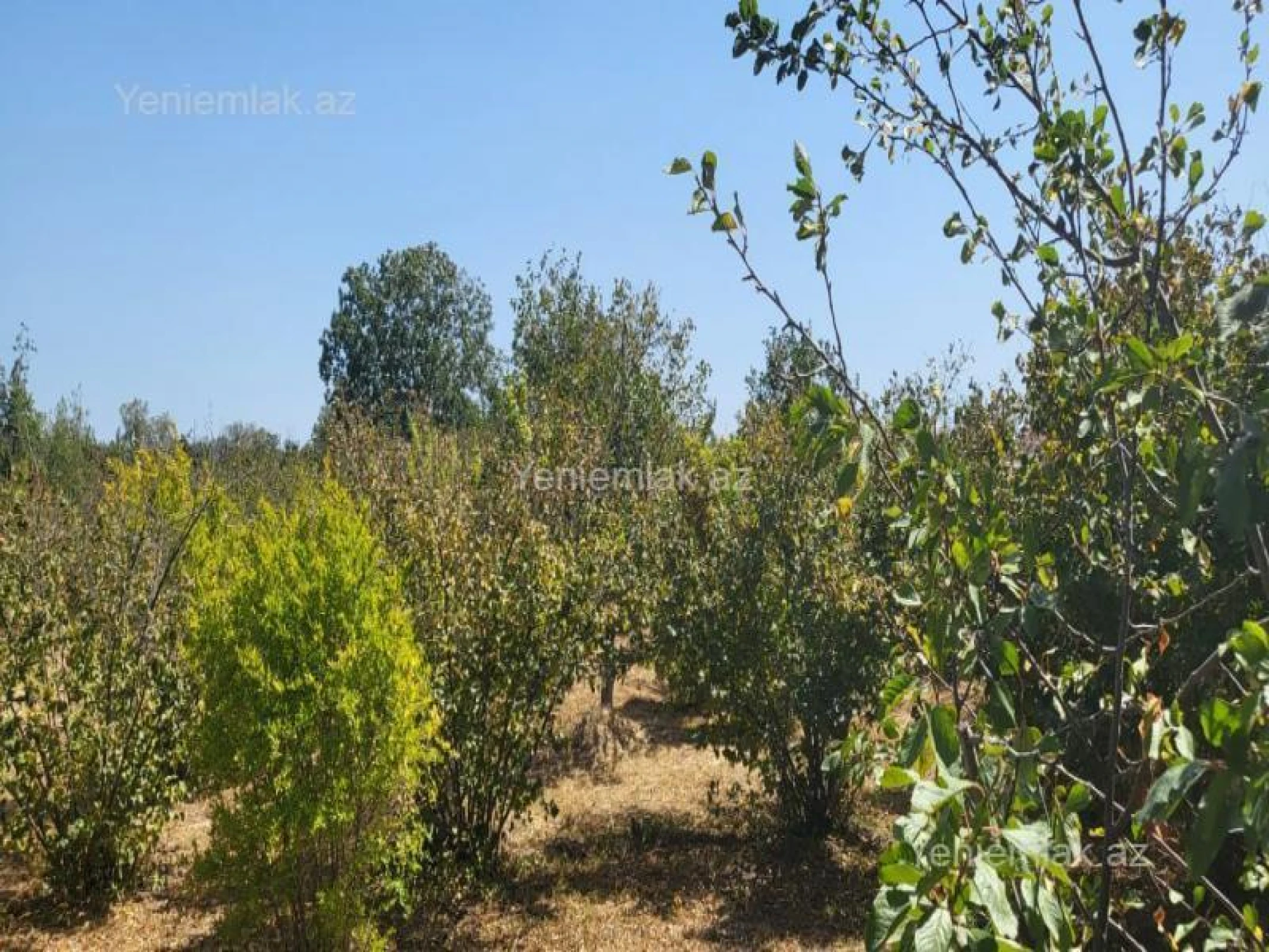 Satılır 3 otaqlı həyət evi 110 m²