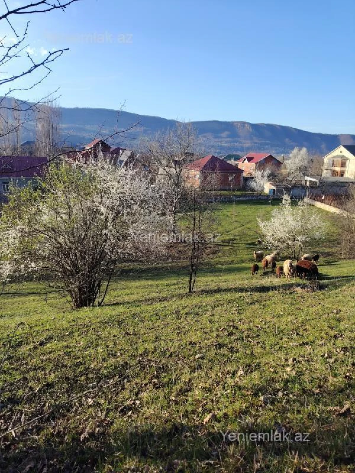 Satılır torpaq sahəsi