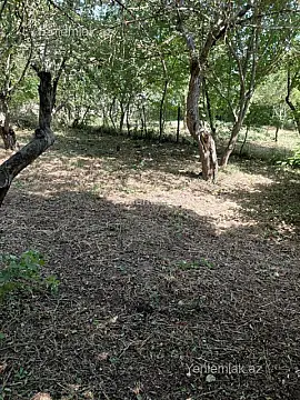 Satılır 4 otaqlı həyət evi 122 m²