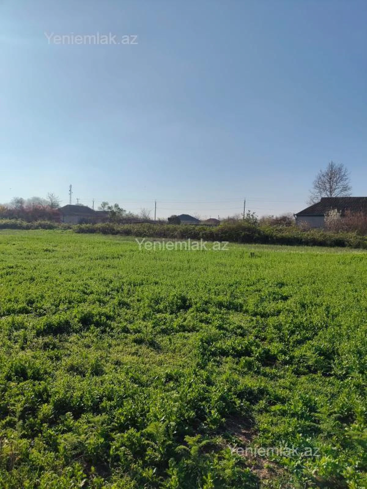 Satılır torpaq sahəsi