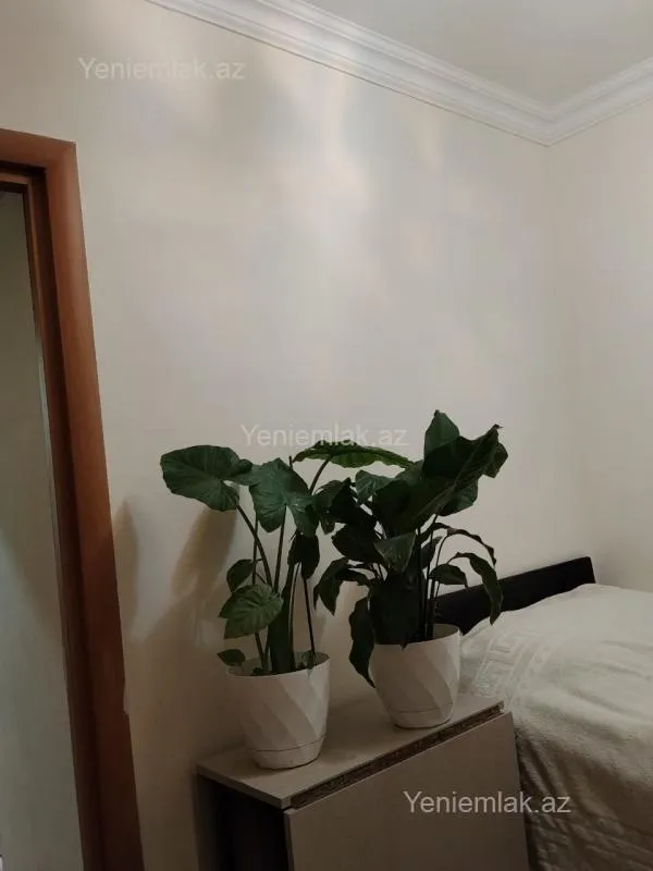 Satılır 2 otaqlı köhnə tikili 50 m²