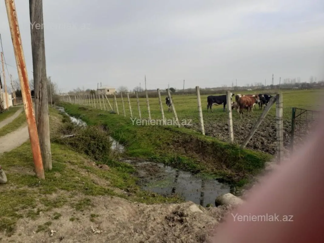 Satılır torpaq sahəsi