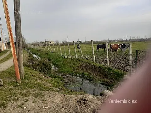 Satılır torpaq sahəsi