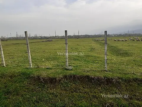 Satılır torpaq sahəsi — Lənkəran