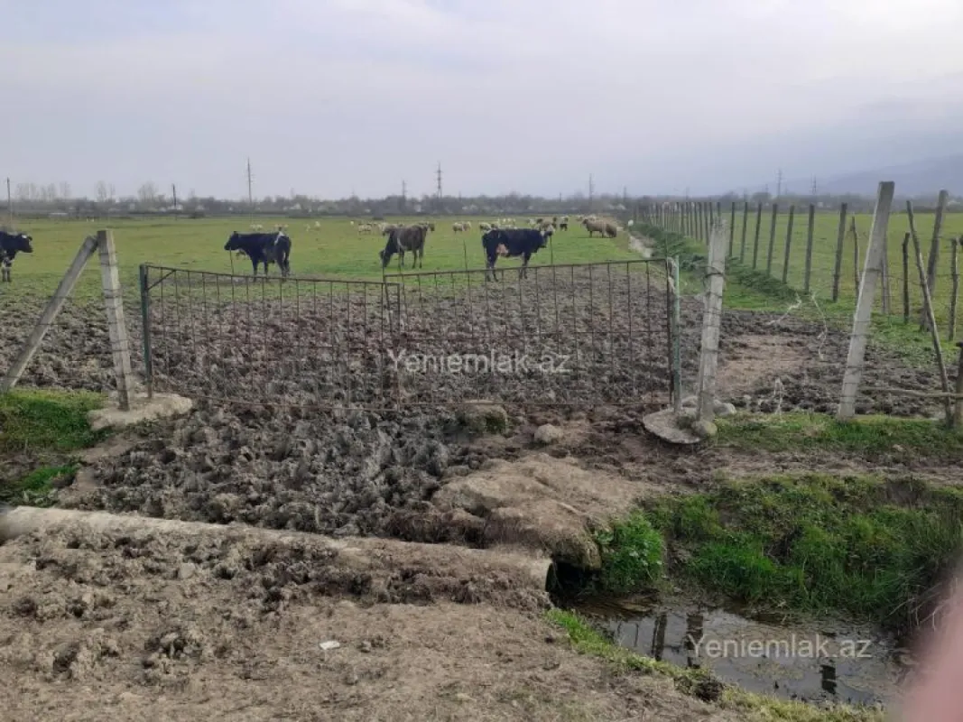 Satılır torpaq sahəsi