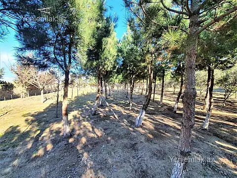 Satılır 6 otaqlı həyət evi 600 m²