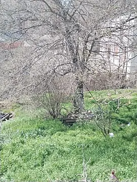 Satılır 7 otaqlı həyət evi 260 m²