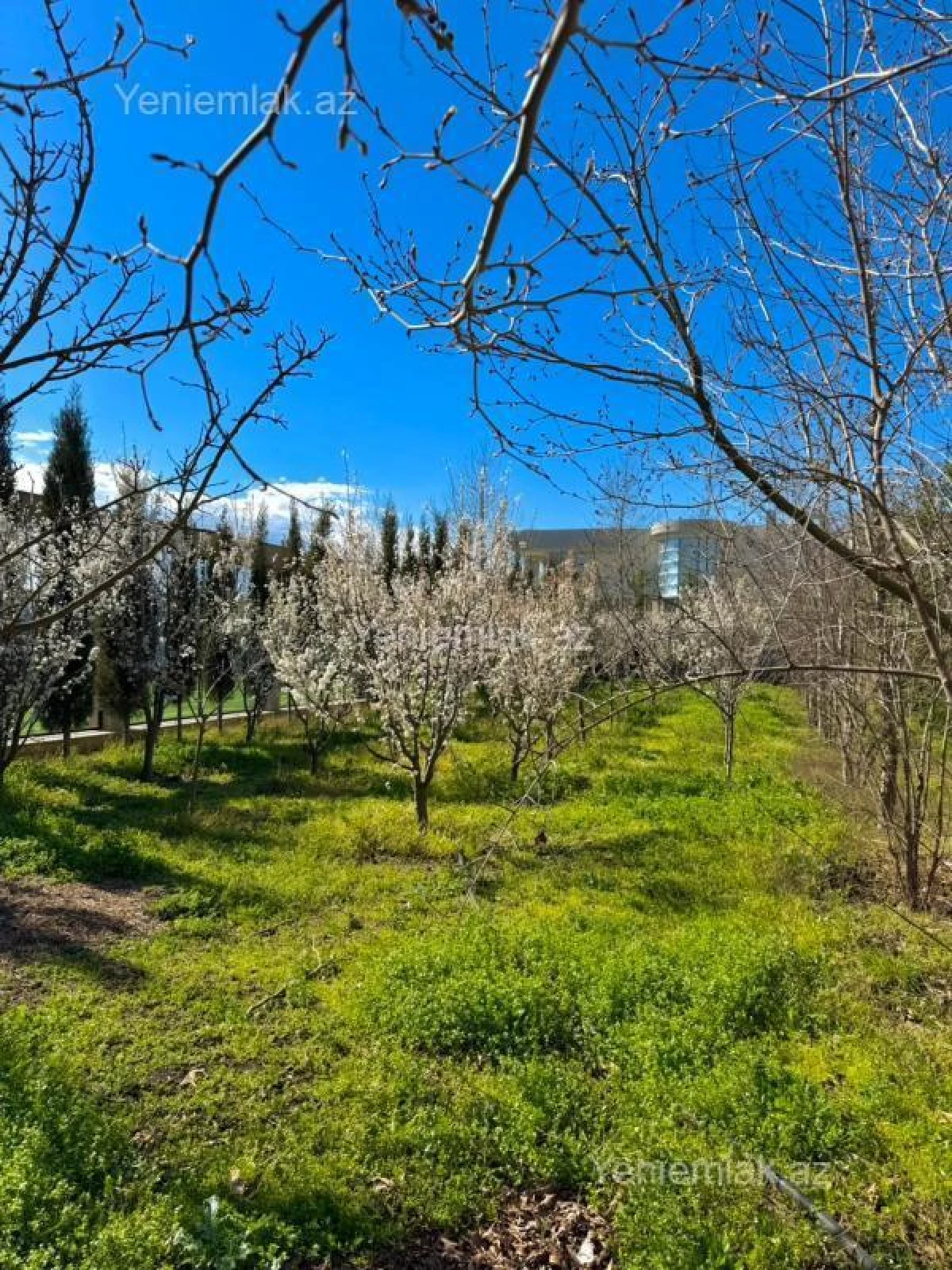 Satılır 9 otaqlı həyət evi 2000 m²