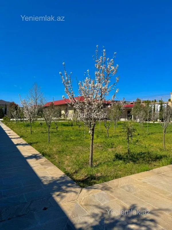 Satılır 9 otaqlı həyət evi 2000 m²