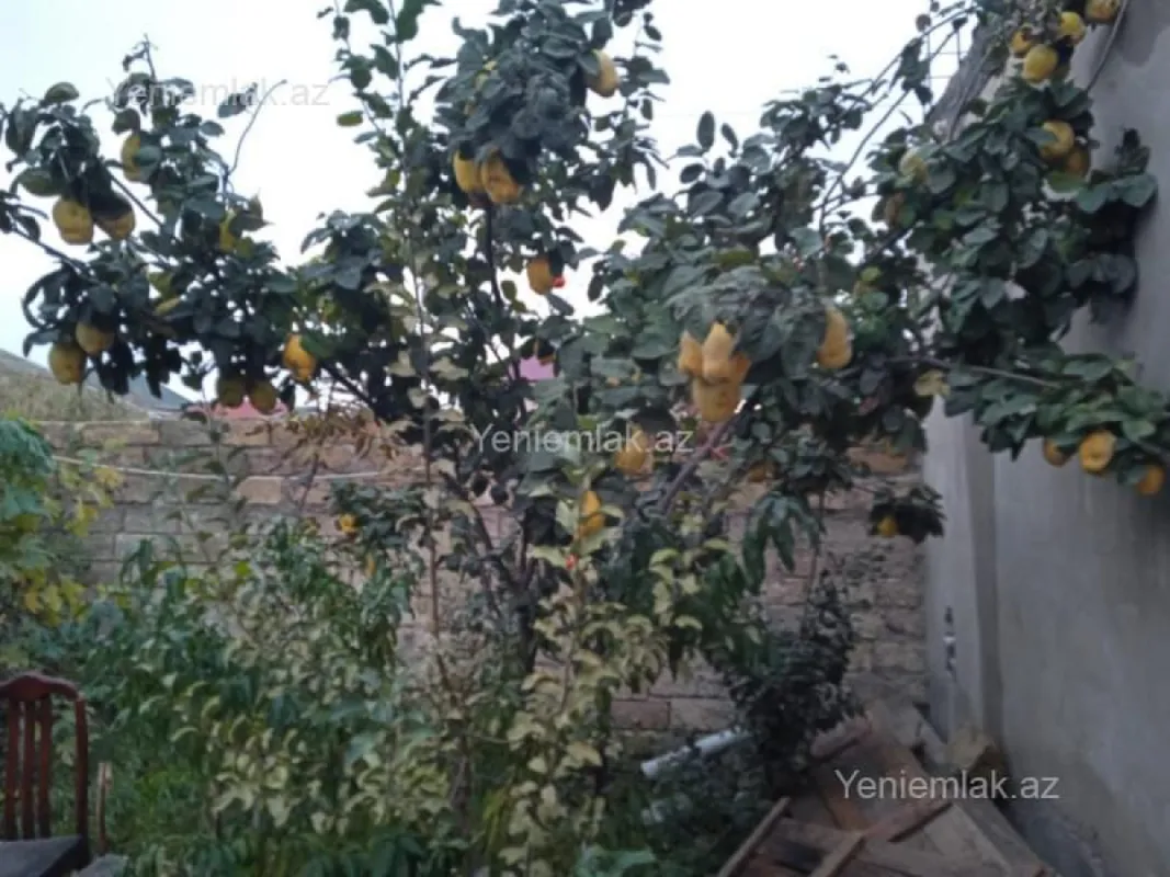 Satılır 5 otaqlı həyət evi 240 m²