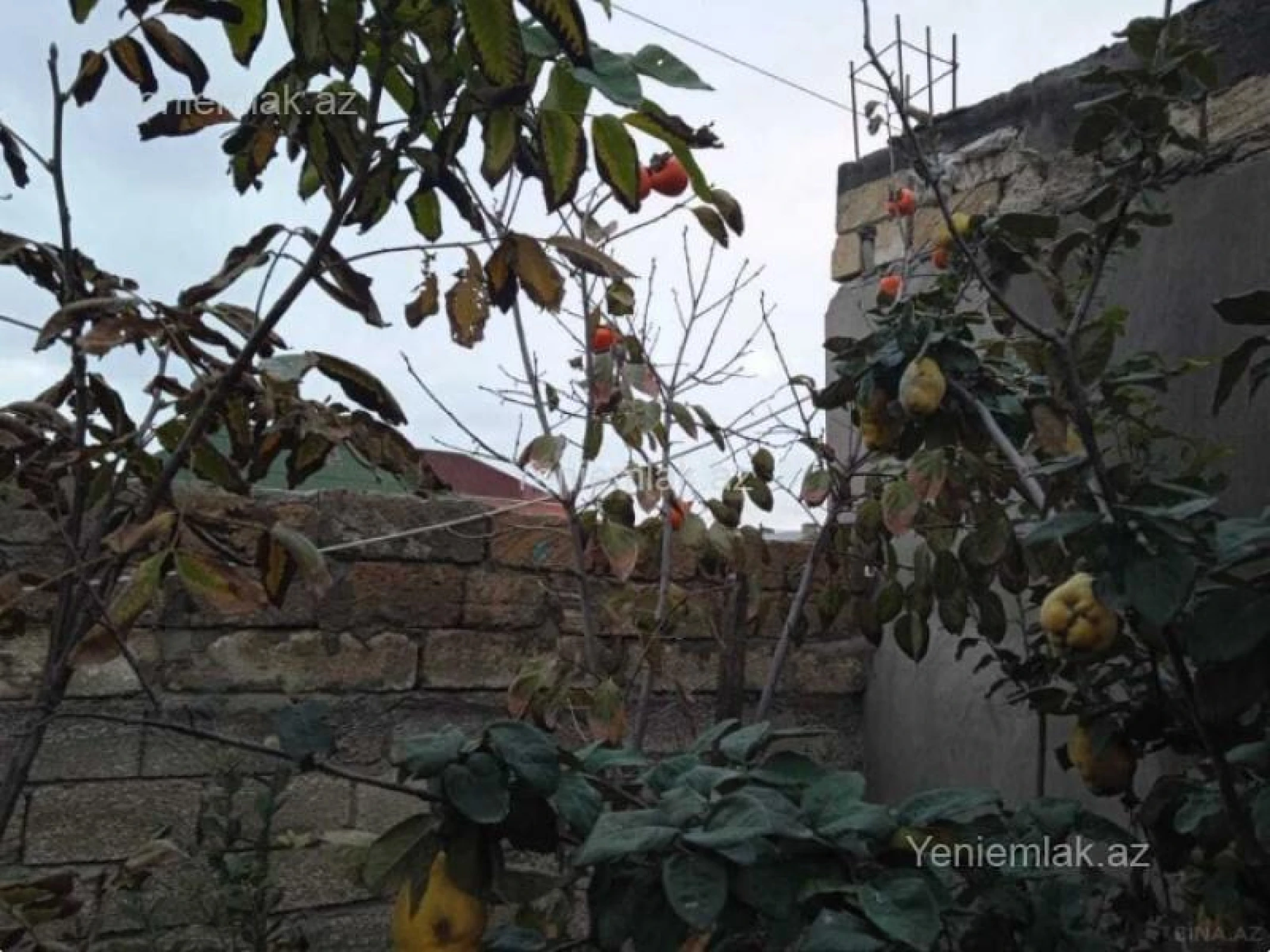 Satılır 5 otaqlı həyət evi 240 m²