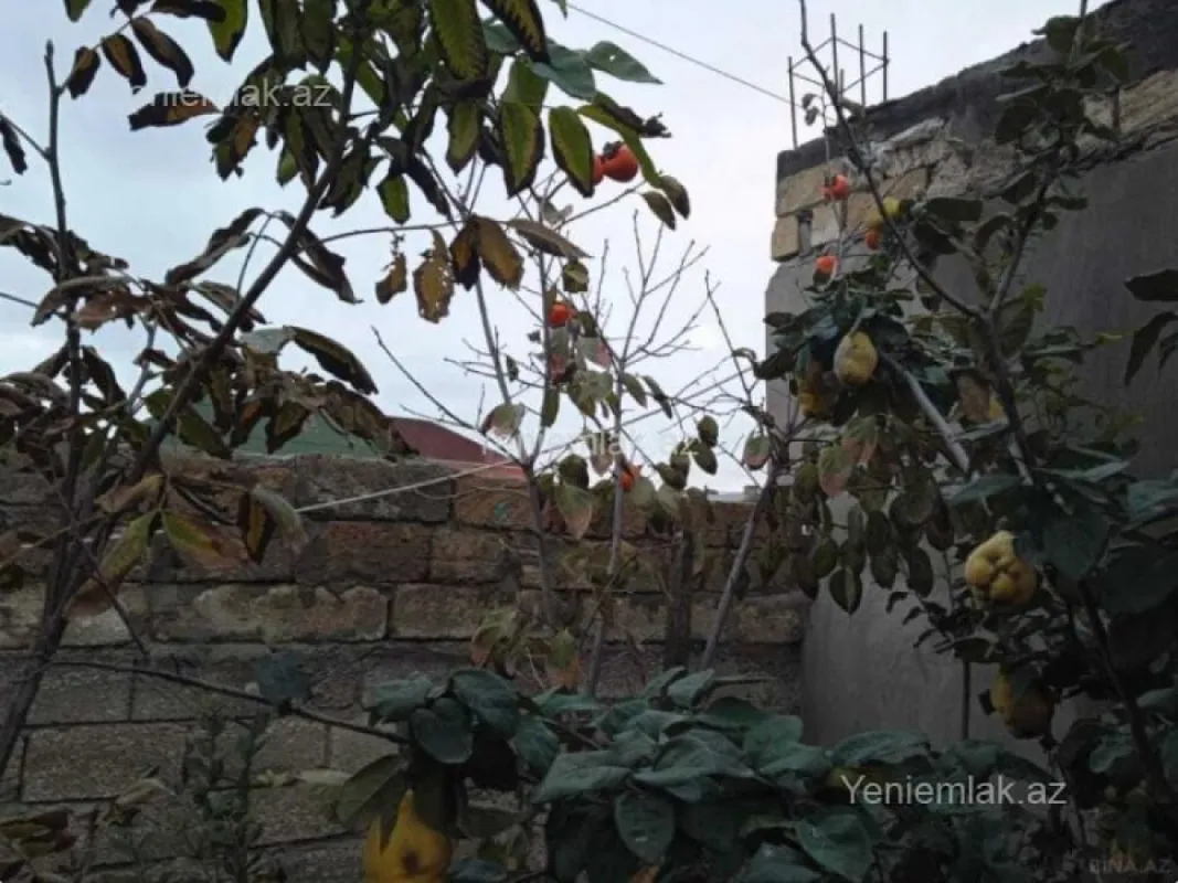 Satılır 5 otaqlı həyət evi 240 m²