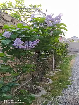 Satılır 3 otaqlı həyət evi 65 m²