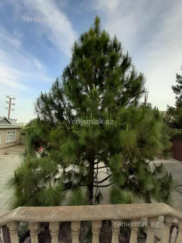 Satılır 6 otaqlı həyət evi 470 m²