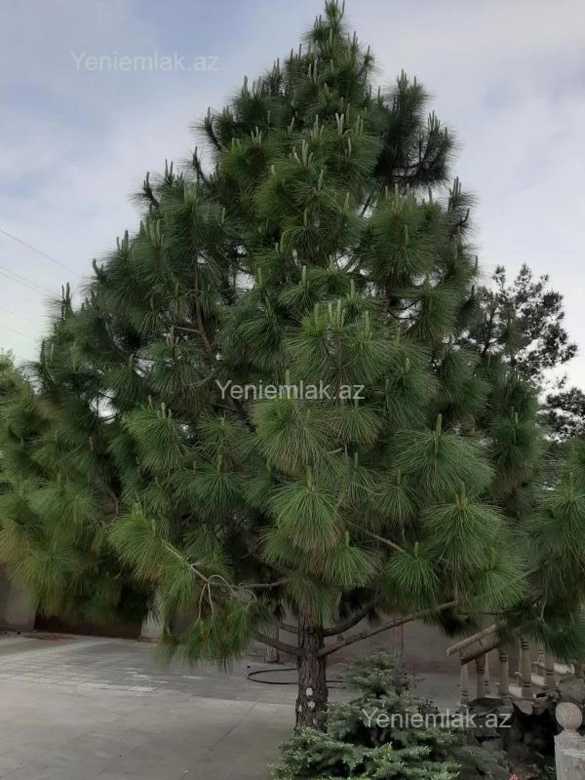 Satılır 6 otaqlı həyət evi 470 m²