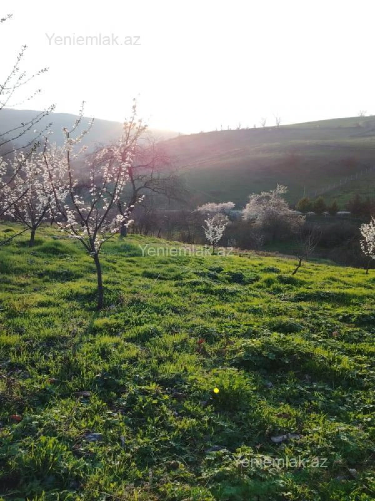 Satılır torpaq sahəsi