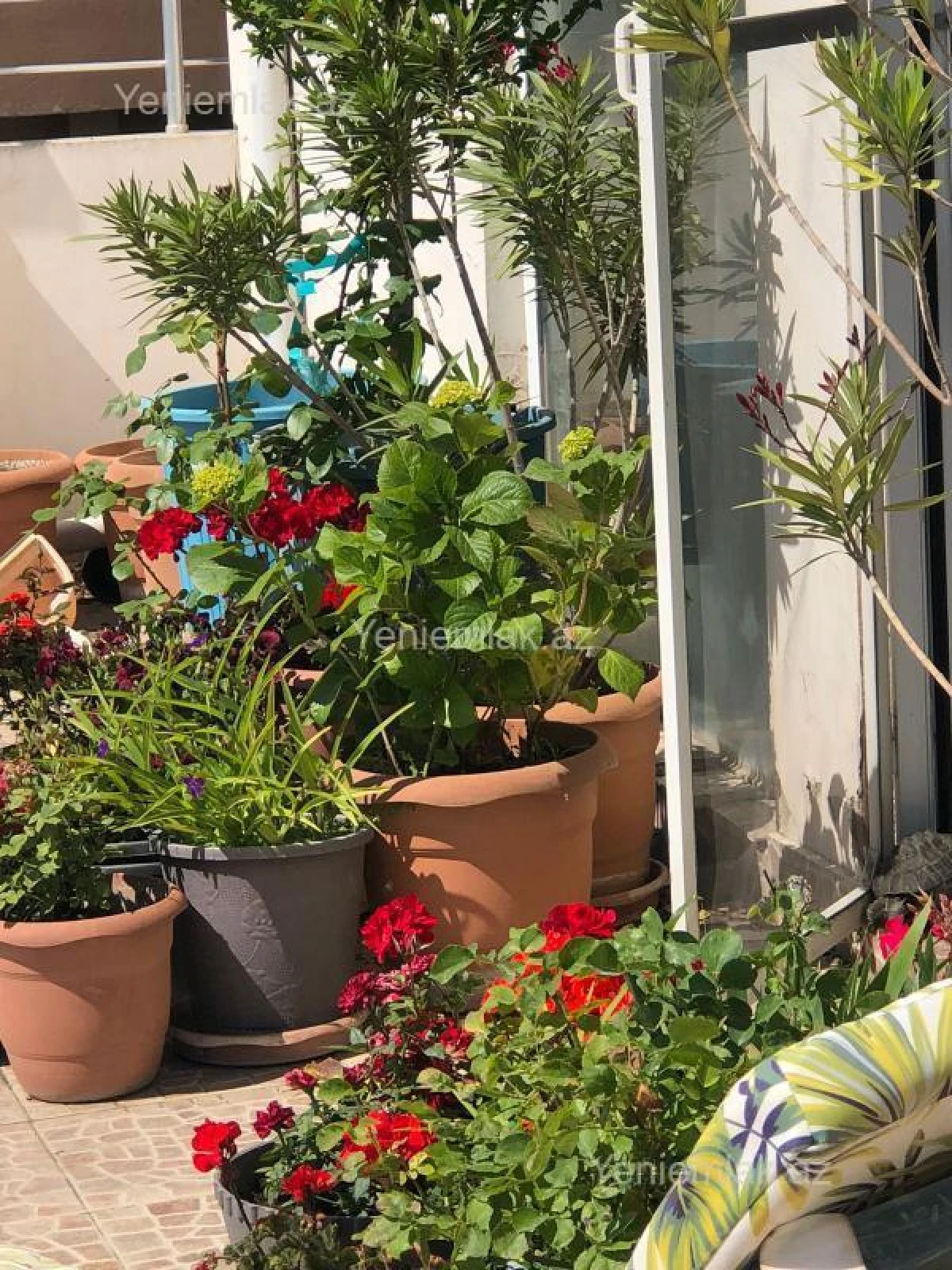 Satılır 6 otaqlı yeni tikili 432.5 m²