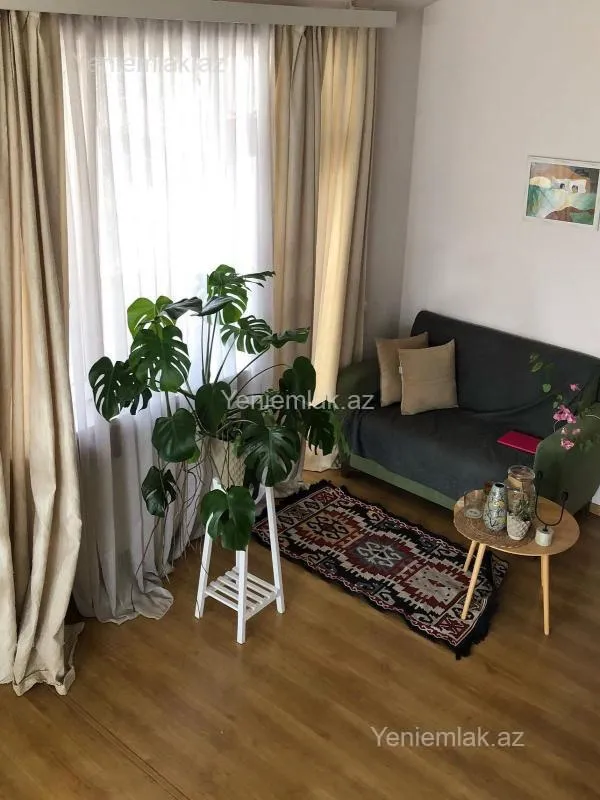 Satılır 6 otaqlı yeni tikili 432.5 m²