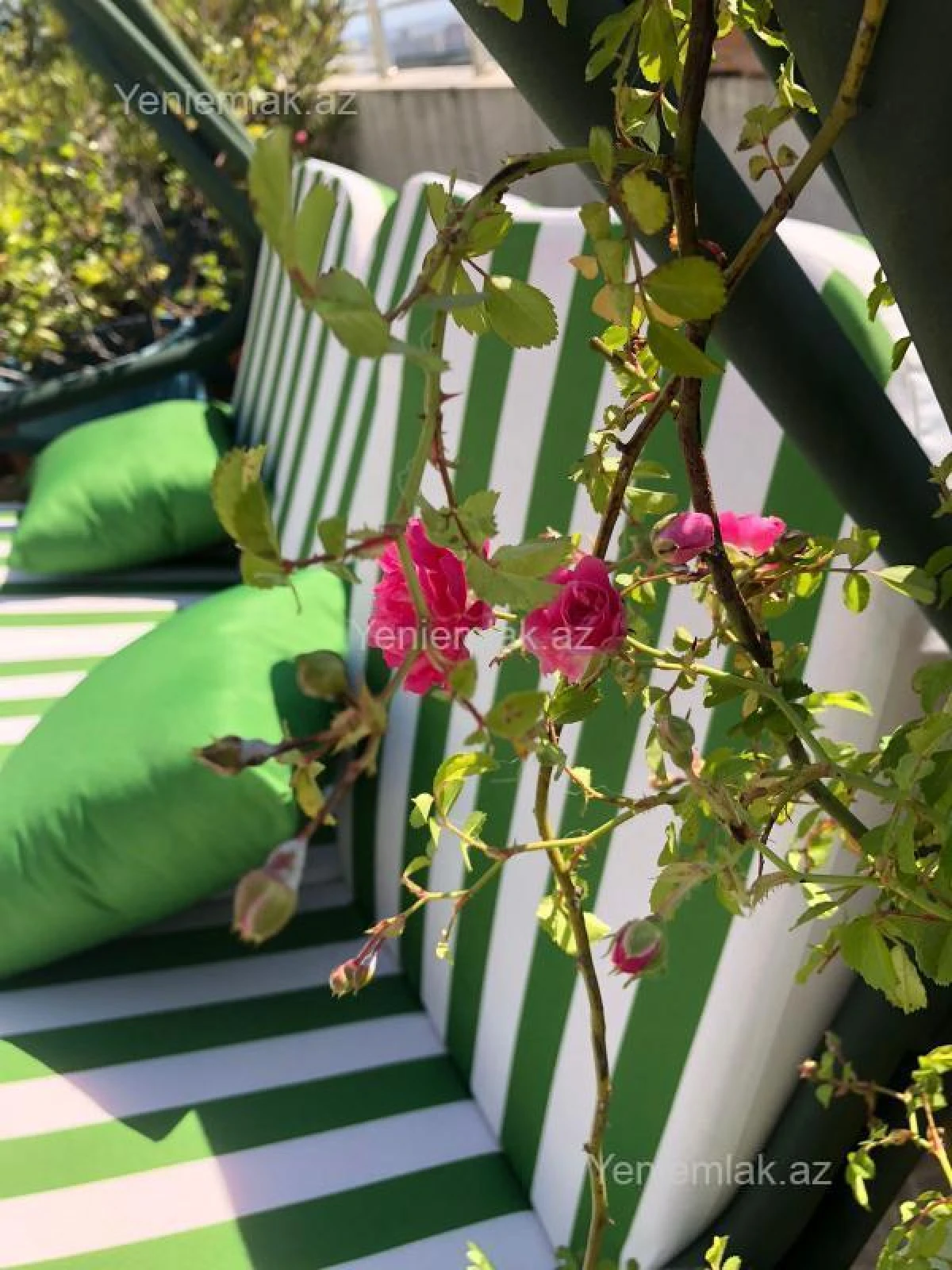 Satılır 6 otaqlı yeni tikili 432.5 m²