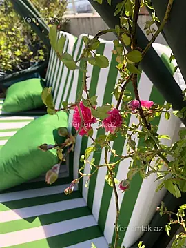 Satılır 6 otaqlı yeni tikili 432.5 m²