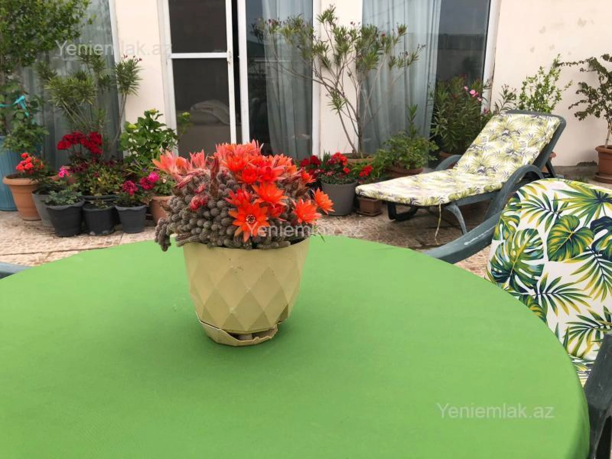 Satılır 6 otaqlı yeni tikili 432.5 m²