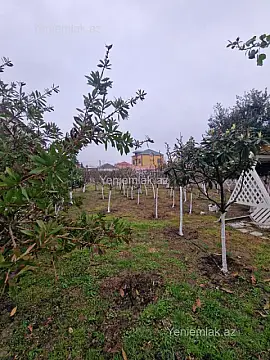 Satılır 2 otaqlı həyət evi 65 m²