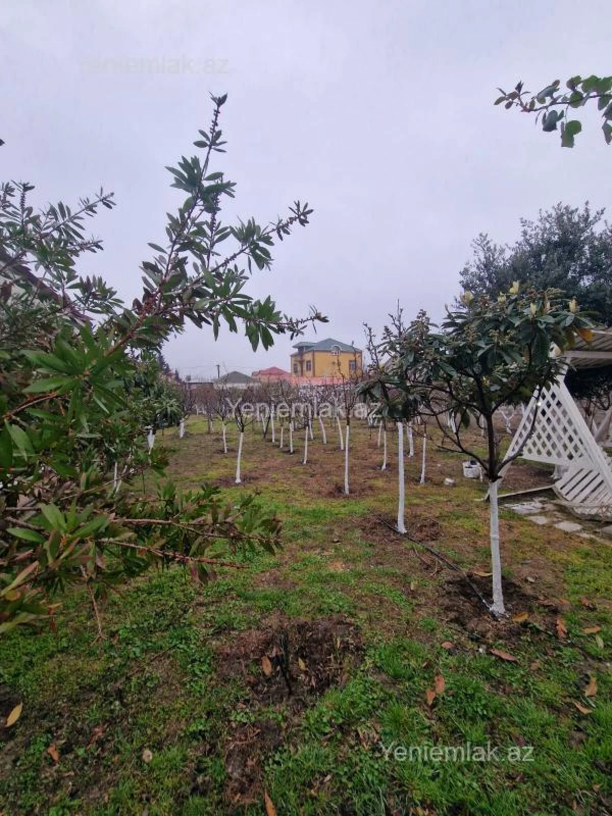 Satılır 2 otaqlı həyət evi 65 m²