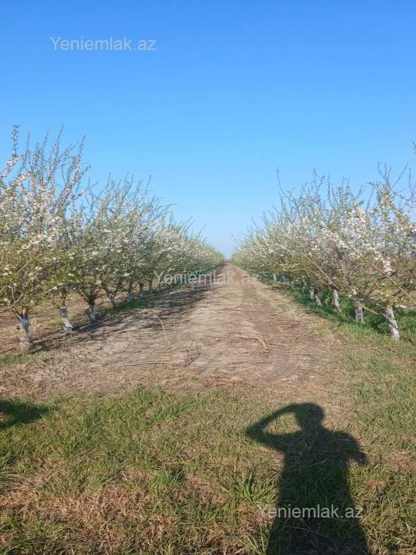 Satılır torpaq sahəsi