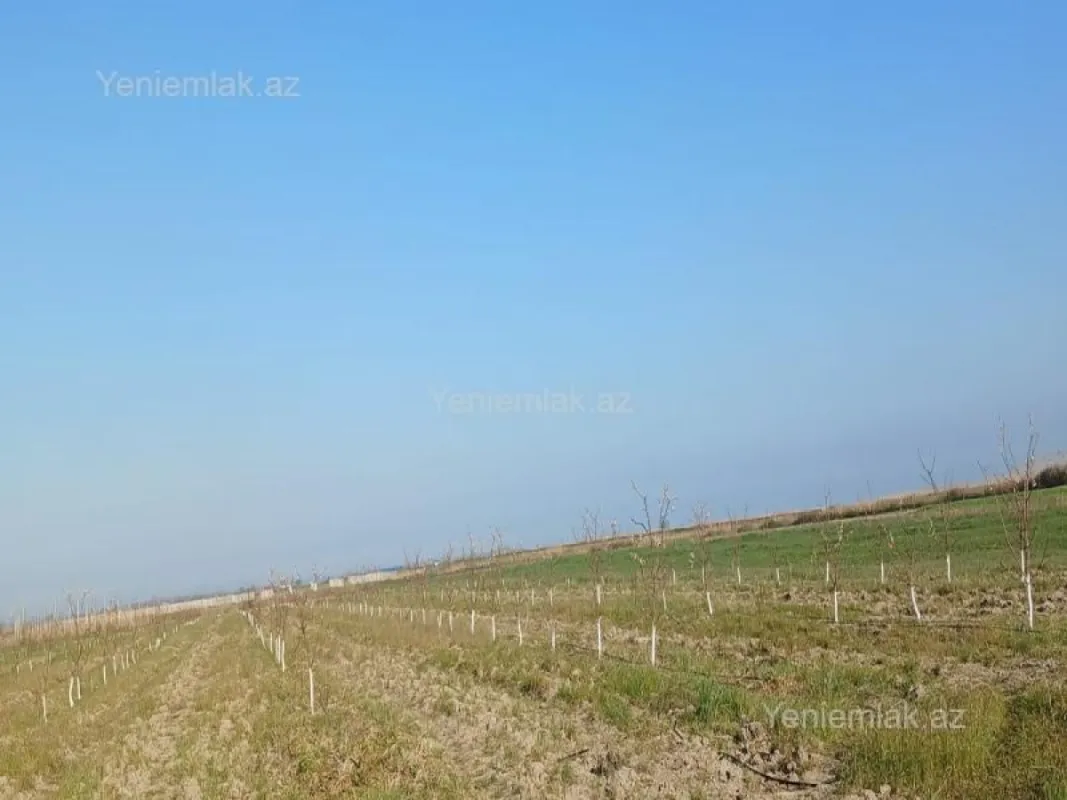 Satılır torpaq sahəsi