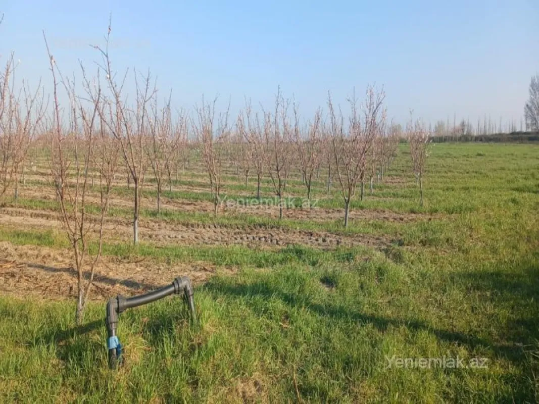 Satılır torpaq sahəsi