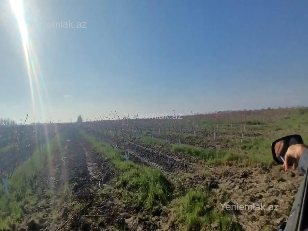 Satılır torpaq sahəsi