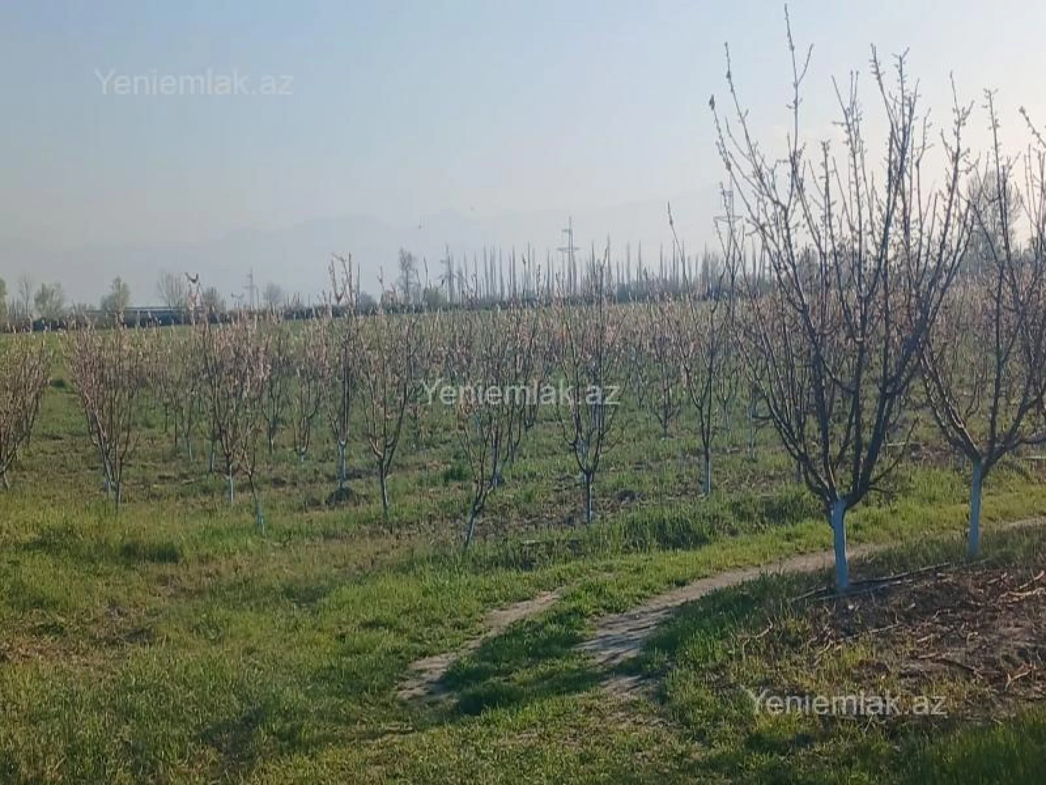 Satılır torpaq sahəsi