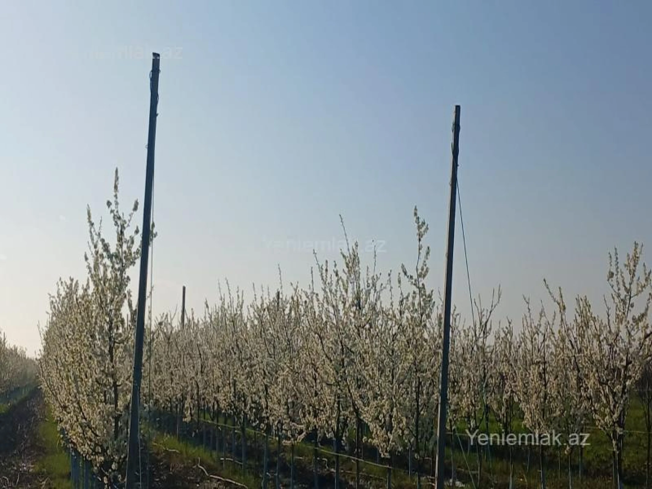 Satılır torpaq sahəsi