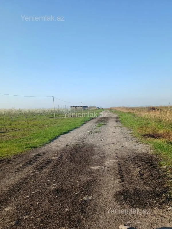 Satılır torpaq sahəsi