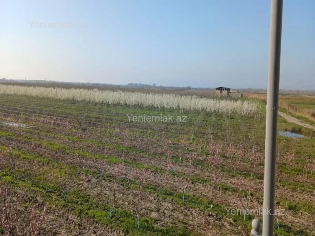 Satılır torpaq sahəsi