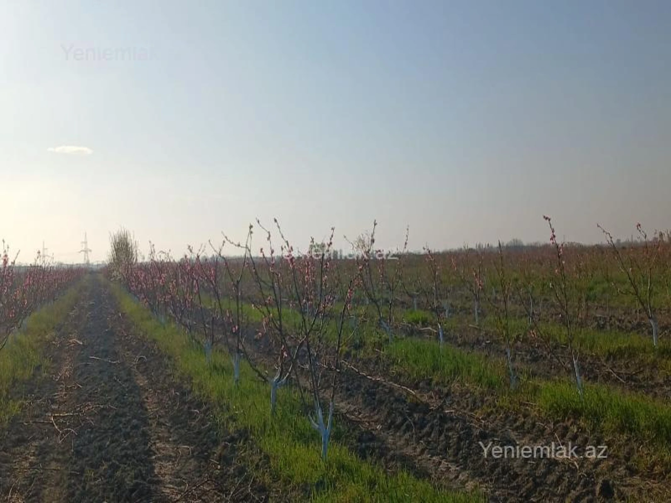 Satılır torpaq sahəsi