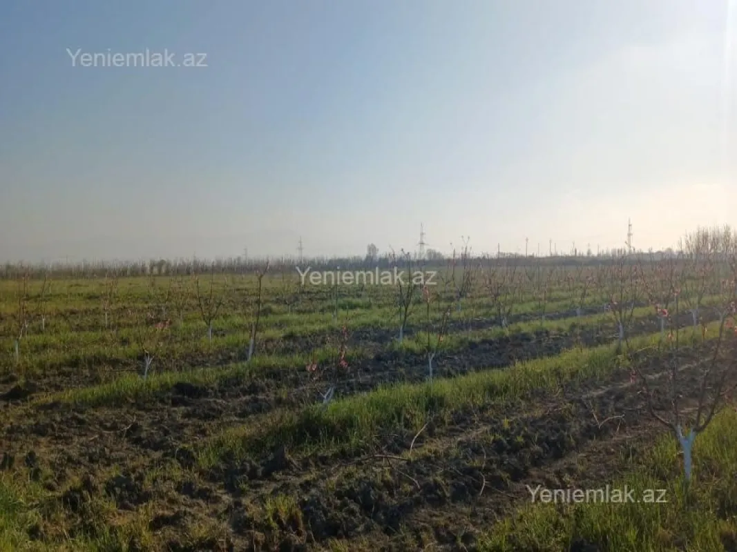 Satılır torpaq sahəsi
