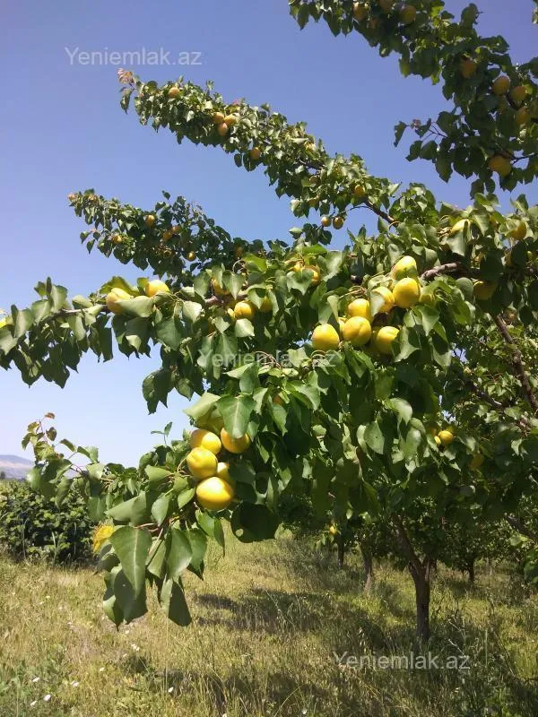 Satılır 6 otaqlı həyət evi 200 m²