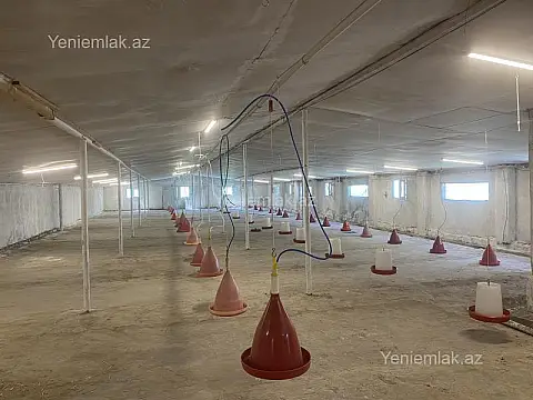 Satılır mənzil 1550 m² — Salyan 1550.00 m²