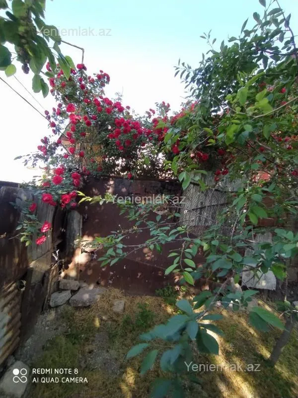 Satılır 2 otaqlı həyət evi 50 m²