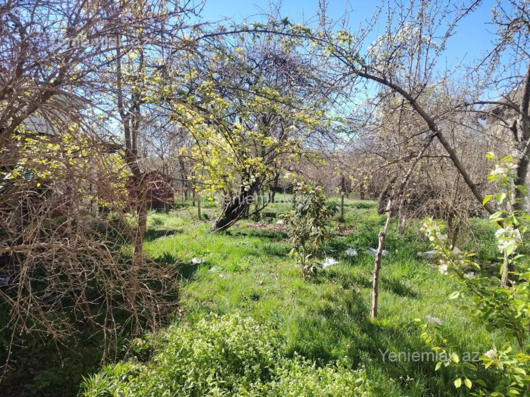 Satılır 3 otaqlı həyət evi 120 m²