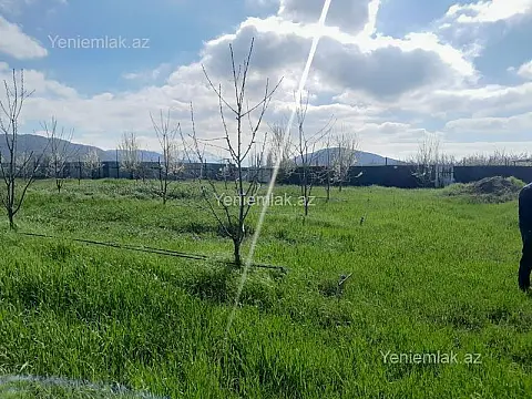 Satılır torpaq sahəsi