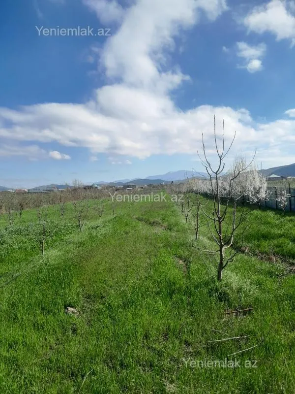 Satılır torpaq sahəsi