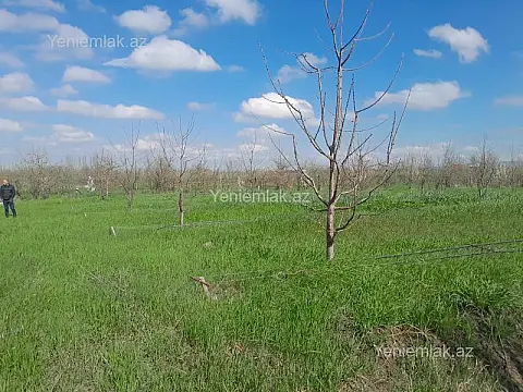 Satılır torpaq sahəsi